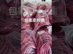 O-ring in silicone con protezione FEP, O-ring in viton con protezione FEP