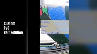 Lunghezza personalizzabile del nastro trasportatore in PVC per alimenti