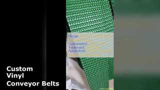 Soluzioni personalizzate di nastri trasportatori in vinile